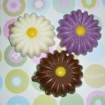 Chocolate Shaped Spring Daisy Flower Set Of 12